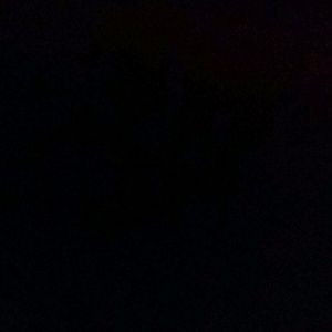 Meet your Posher, Ashleigh